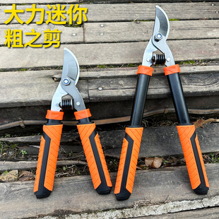 ����mini��֦�����@����֦������֦��������������ʡ���@ˇ�@��