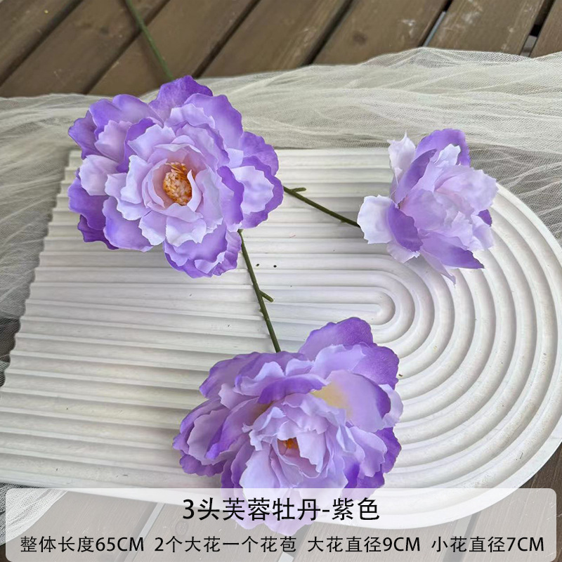보라색