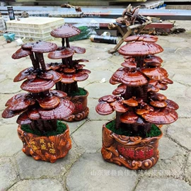 灵芝;盆景
