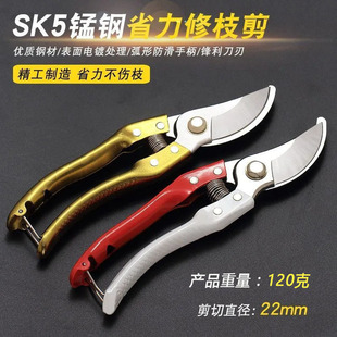 Sk-5 Fruit Branch Shears, Gardening Thick Branch Shears, Branch Shears, Fruit Tree Pruning Scissors, Flower Fruit Grape Shears