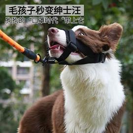 狗狗窝/笼/垫;猫猫窝/笼/垫;嘴套