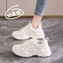 pܛ\ܲЬŮ2025¿WٴСЬW͸ϵЬ