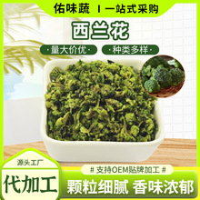 脱水西蓝花烘干脱水蔬菜干绿花椰菜西兰花散装供应西兰花头
