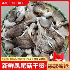 平菇干货250g干新鲜凤尾菇干白食用营养菌菇类磨菇非香菇蘑菇