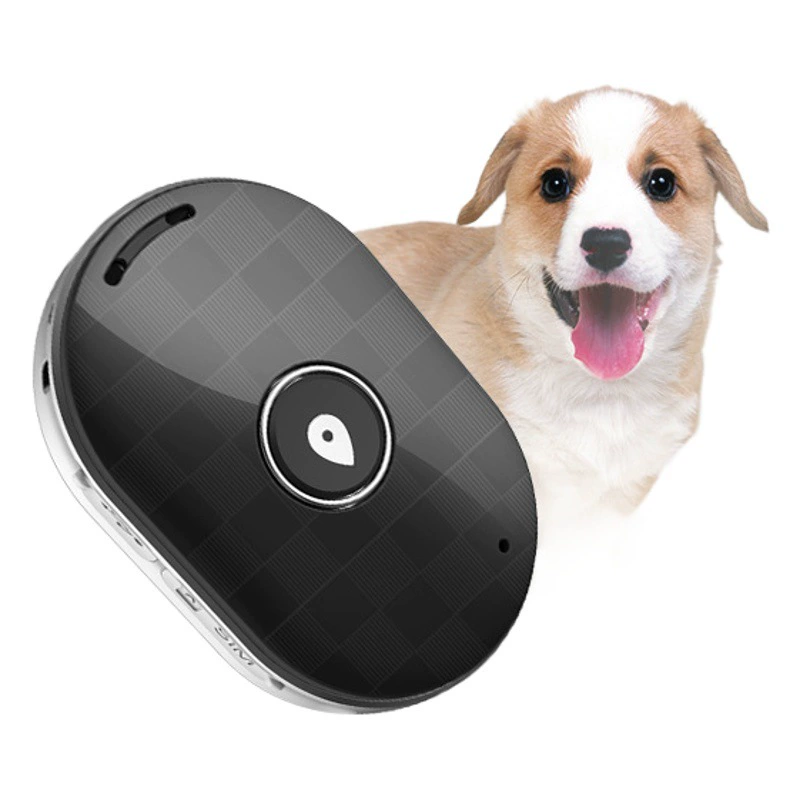 Q60 внешней торговли 2G Pet локатор GPS позиционирование воротник жизни водонепроницаемый Pet умный износ анти-потерянный локатор