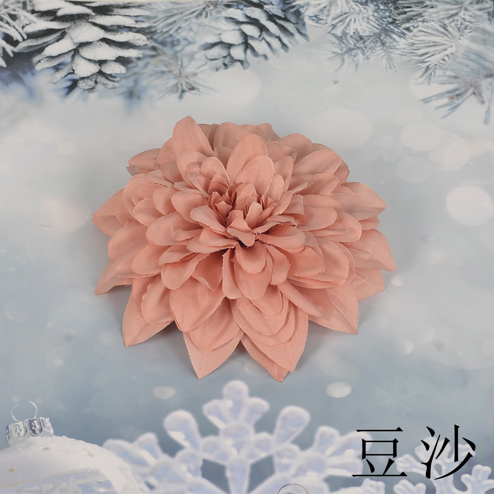 콩 페이스트 SL 큰 epiphyllum 꽃 머리