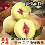 青州蜜桃脆甜桃子新鲜冬雪蜜桃水果青毛桃水蜜桃山东毛桃秋桃冬桃