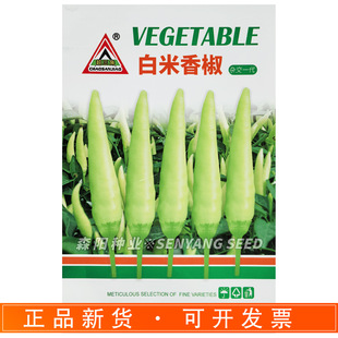 �����ǰ����㽷��������S��ɫ���콷����ָ�콷�ݽ��罷�G��528
