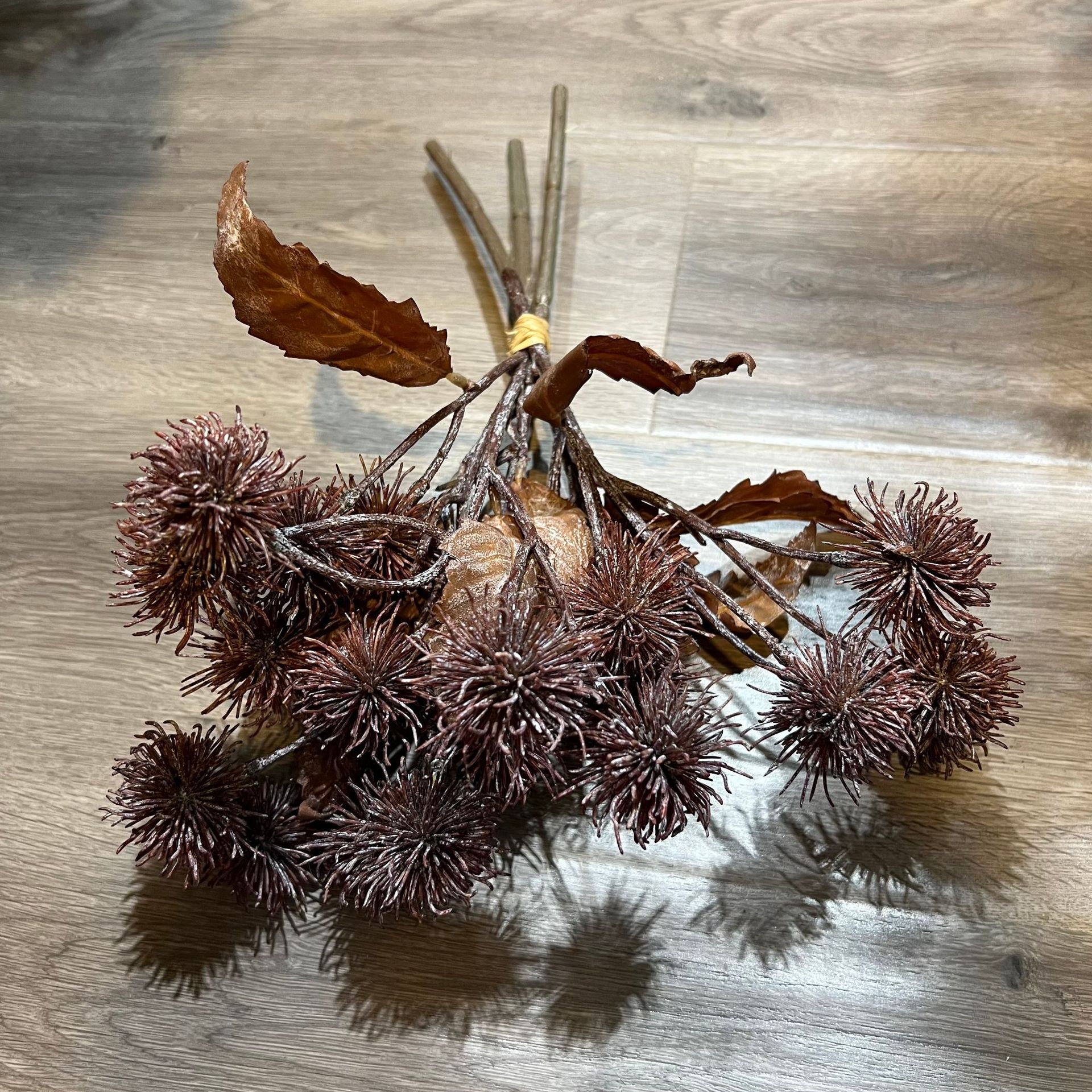 커피