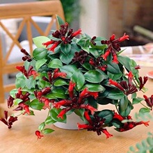 �ڼt���m�҃ȾGֲ�����̨����ֲ�������_��ֲ������՚����ռ�ȩ