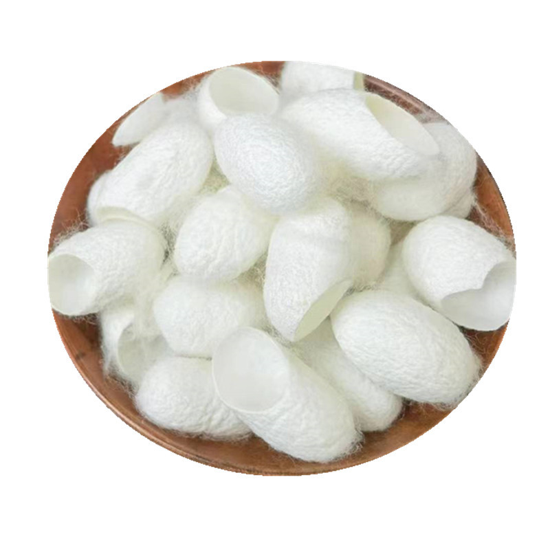 Dried Silkworm Cocoon Shell Can Qiao Traditional Herbal Ingredient Bulk Supply in use