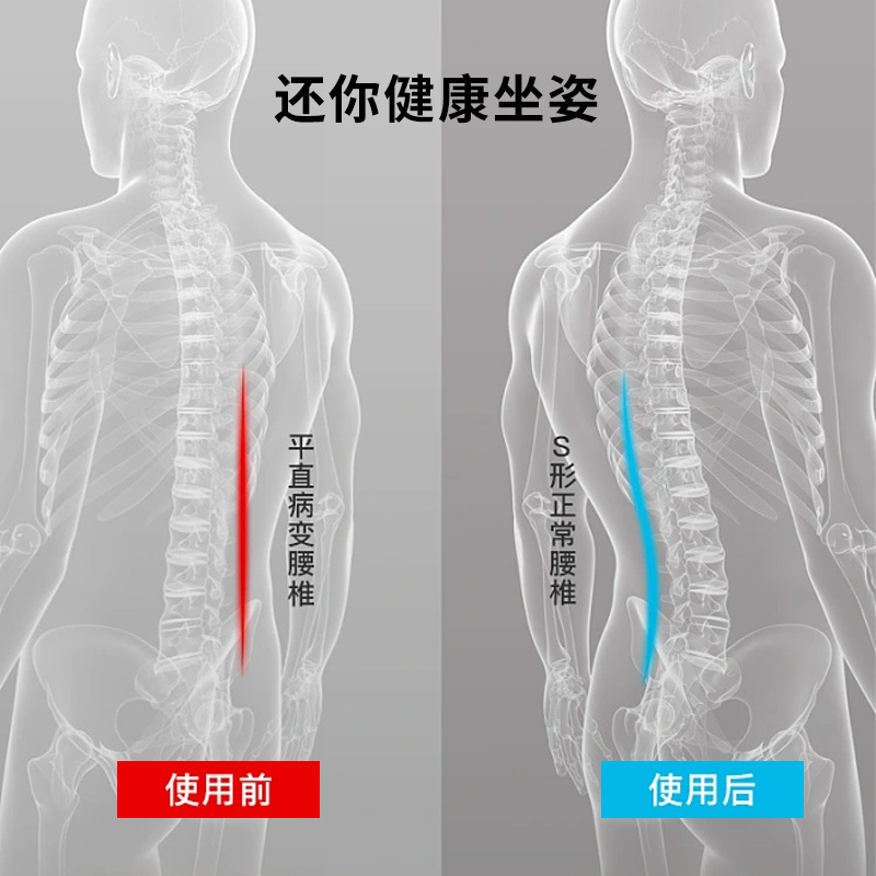 子供の背もたれのクッションの矯正器は腰を保護します。|undefined