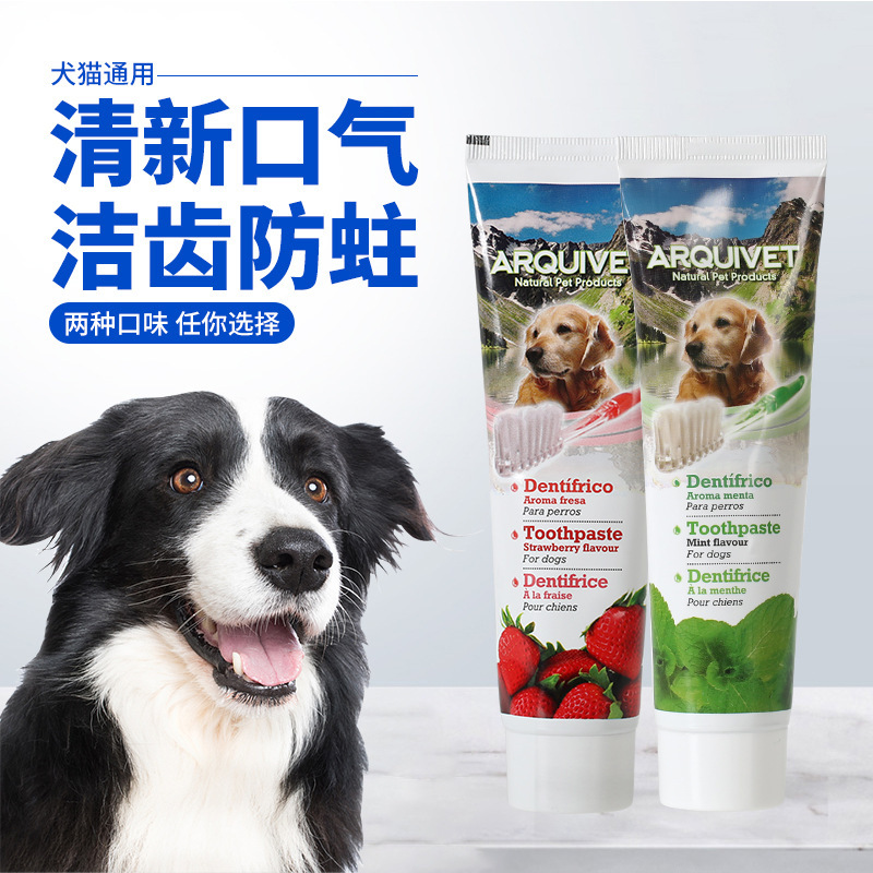 Spanish ARQUIVET Pet Toothpaste and Toothbrush Set - Cares for and Cleans Gums, Freshens Breath - Direct Supply