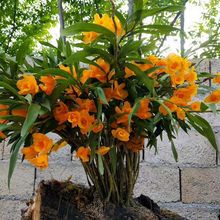 �Ĵ��A���B���S��ʯ�����ˮ���O��ɽ�FƤ�����m���m��