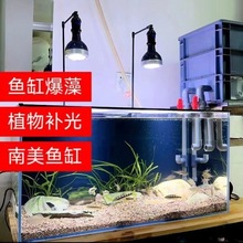 鱼缸爆藻苔灯全光谱led水草植物补光灯e27螺口灯泡支架