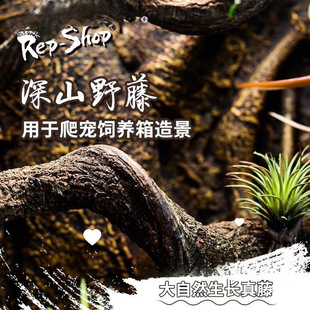 �����ٗl�쾰�޽ǘ䗫�����������^����������B��ֲ����٘�����