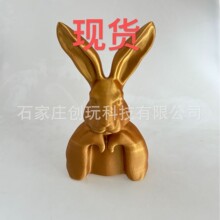 3d��ӡ�ִ���Լ�����������ͱ�ŷ�ҾӰڼ���������Ӱ�����װ��
