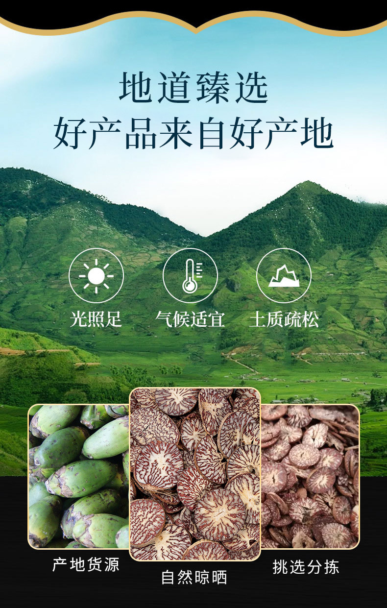 Betel Nut Slices (Areca catechu) — Dried Da Bai Herb for Traditional Decoction overview