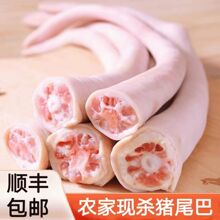 新鲜土猪尾巴冷冻长尾巴农家散养生猪尾巴去毛整根现杀猪尾巴顺丰