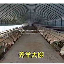�Bֳ����ȫ�״���Ǽܼ��Ü��ҷNֲ��I�B�u������ţ���B�i����