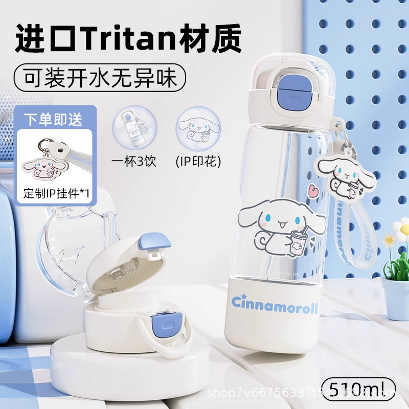 三丽鸥儿童水杯上学专用夏季新款2025高颜值女孩外出便携吸管杯子|undefined