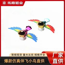 永磁材料;减压玩具;其他磁性材料