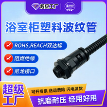 RyԡҙPPϲy늾o܎ٽ^