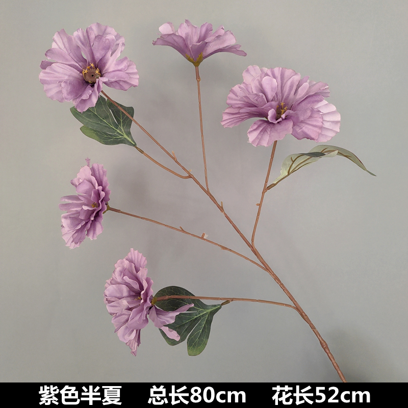 흰색 보라색 피넬리아 꽃