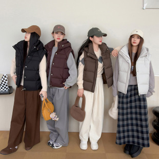 Foreign Trade Four-Panel Vest 2025 New Puff down Cotton Vest Short Warm Lightweight Hooded Jacket