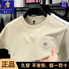稻草人夏季新款男士丝光棉T恤短袖圆领宽松休闲透气半袖衫上衣