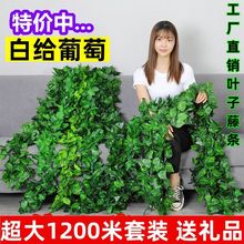 ���������~��ɽ��ֲ���ٗl�G�}�����bܵ���픾G�~�ܵ����ϼٻ�