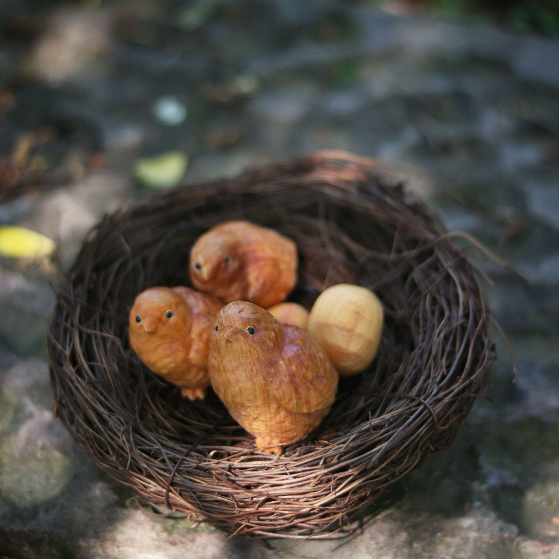 O1CN01CnLHgj1wWJzQEGVD5_!!944566315-0-cib.jpg?__r__=1682575831720