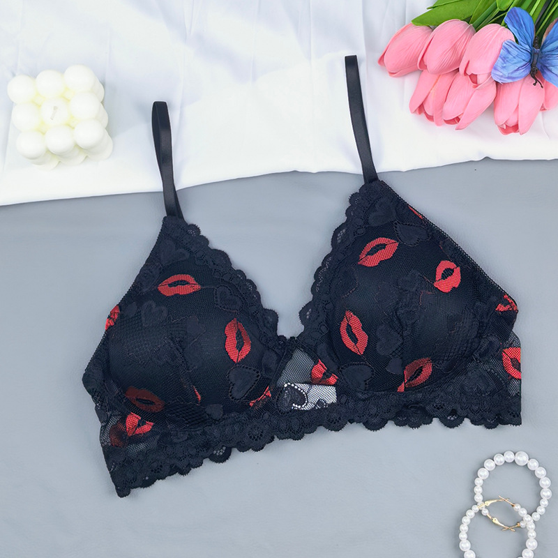 Transfronterizos tamaño europeo y americano marca labial de encaje transpirable delgado bordado damas bra comercio exterior bra Amazon al por mayor