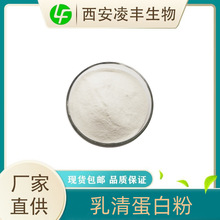 乳清蛋白粉98%  乳清分离蛋白 浓缩乳清蛋白另有乳铁蛋食品级现货