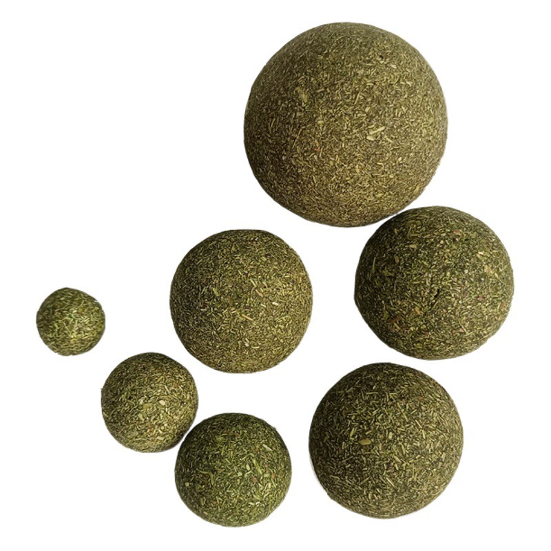 Домашние животные шлифовальные зубы