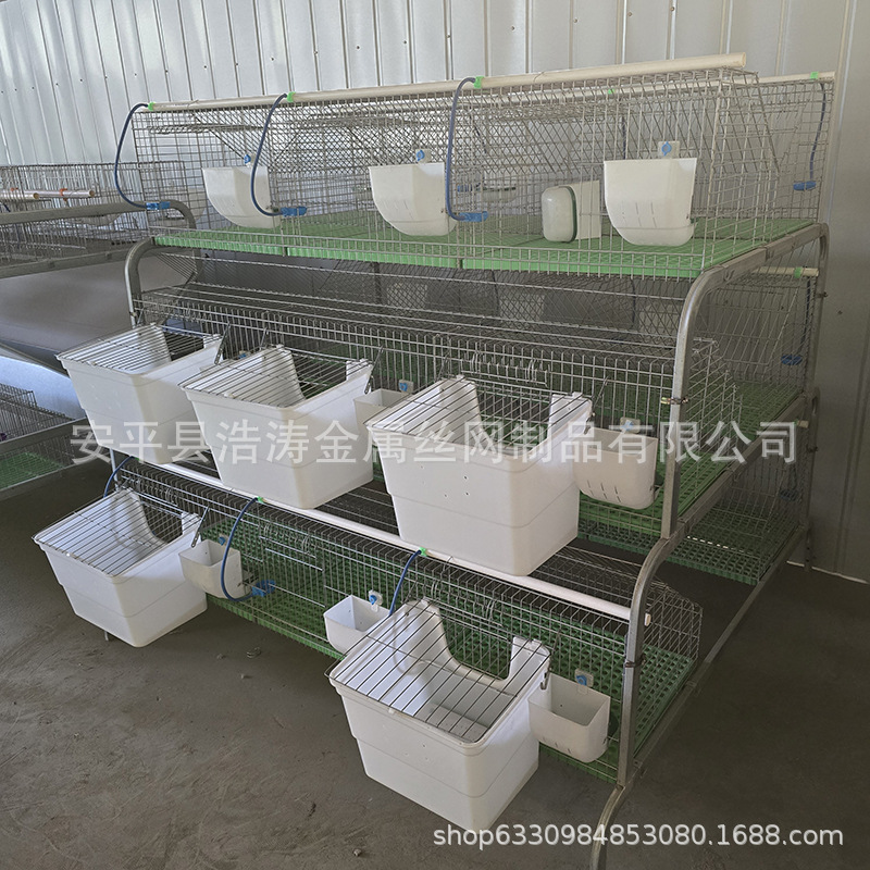 自动清粪养殖兔笼18位阶梯兔场母兔笼集约化商品兔笼欧式兔子笼子