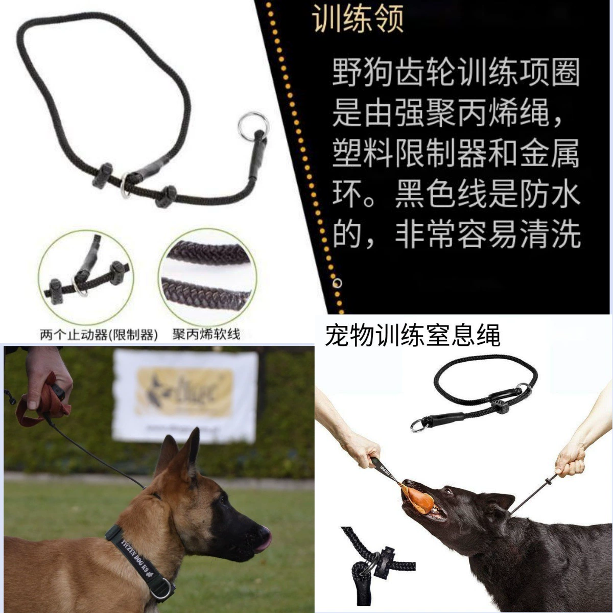 Дрессировка собаки удушает веревку дрессировка собаки в дрессировке собаки