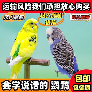 ��Ƥ�W�^����B�fԒ�B���B���^�p�B�W�^���B��ֳ�µ����B�B