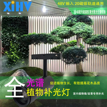 48V低压磁吸轨道式植物生长灯植物墙雨淋缸造景全光谱家装设计