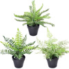 High -quality soft glue fern leafy fern kidney fern grass grass grass grass plant flower box flower trough flower insertion green plants and green plants