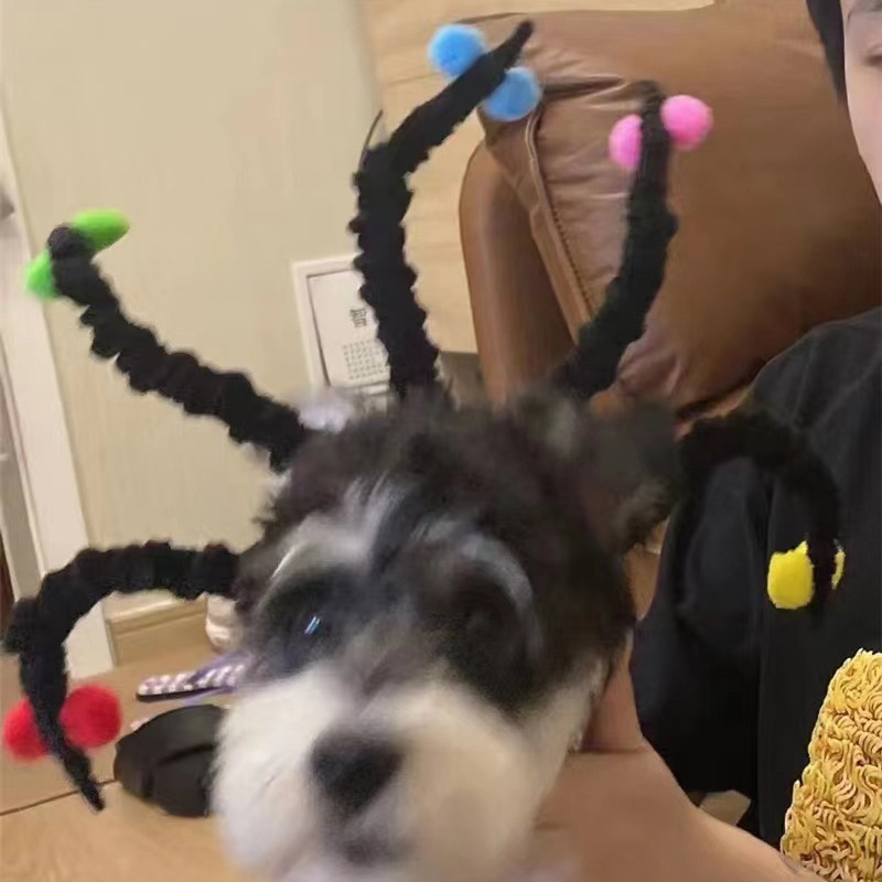 微信图片_20220906163706