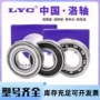 洛阳大型正品6236轴承