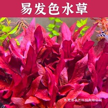 �����tõ��o�����o�������̼��ˮ���wˮ���~���쾰�о�����ˮ��