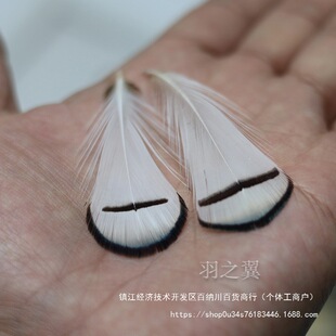 ë�^��С�]����Ƭ�Ʒ��ɫ�����ֹ�ˇ��ˇ�\�u�ֹ�DIY�~�zӰ�uë