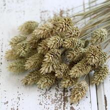 ����ɫ��ʯ�ݡ����R�dins�ɻ����������Y���ֹ�DIY���ϲ廨���h