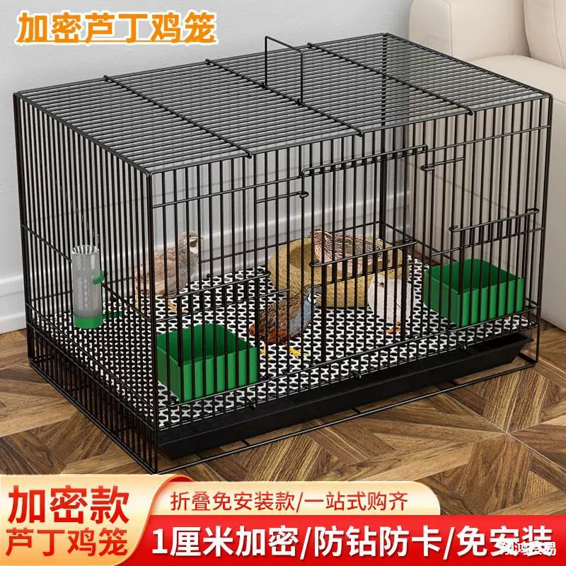 Специальная клетка для курицы Рудинг, зашифрованная клетка для цыплят, домашняя большая перепелиная клетка
