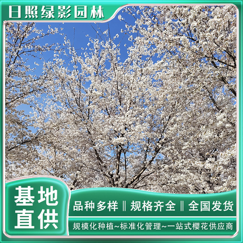 微信图片_20230818145544 副本.jpg