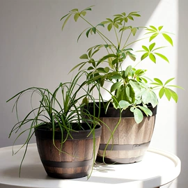 花盆容器;栽培基质;花盆装饰