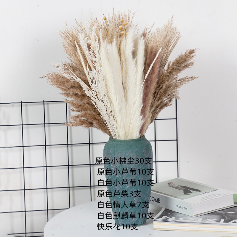 アマゾンはよく売れています。葦の花の花束です。|undefined