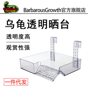 Tortoise Table Drying Tortoise Table Acrylic Terrapin Table Floating Island Table Drying Back Table Tortoise Table Turtle Climbing Floating Island Floating Table